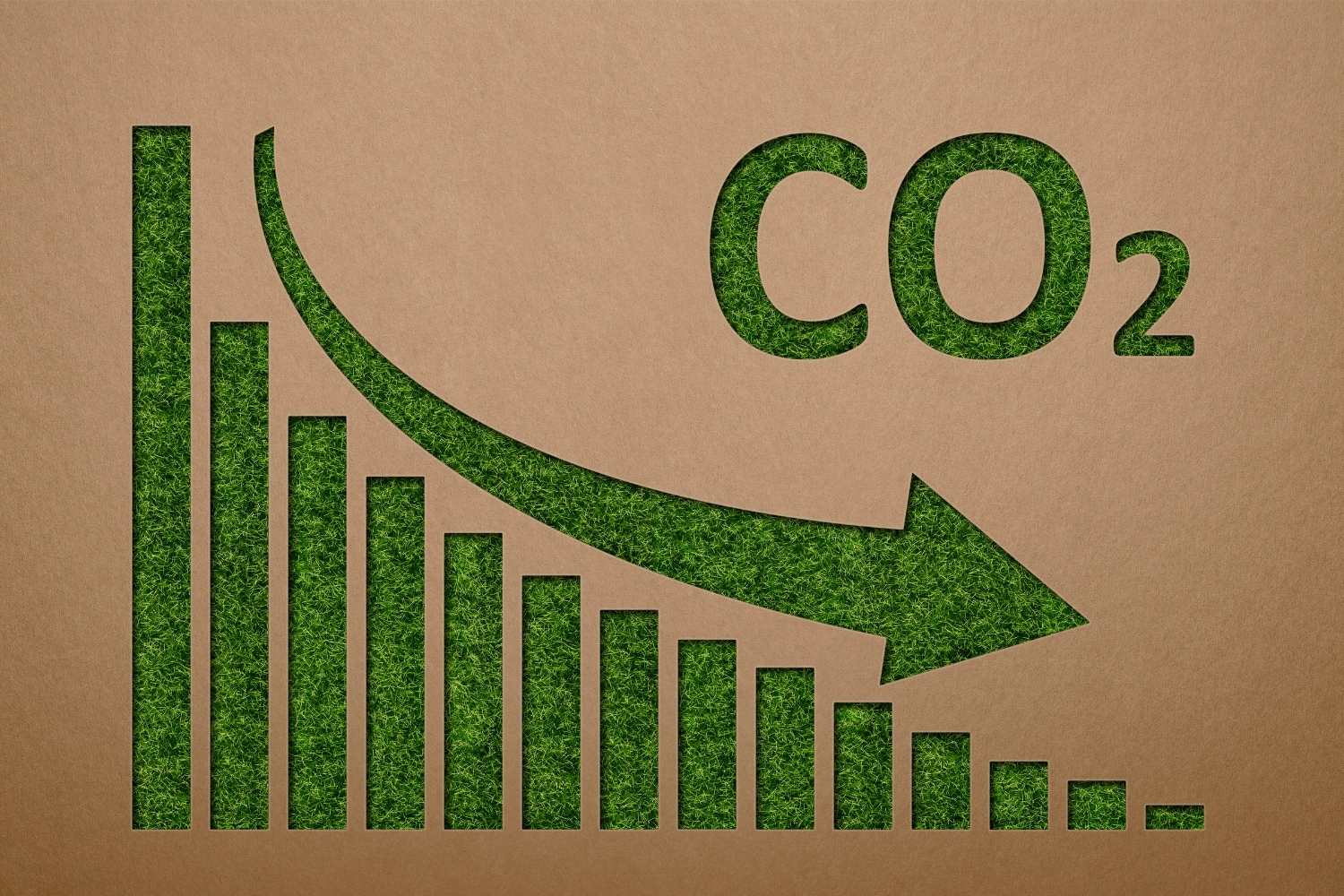 Reducing CO2 Emissions Day
