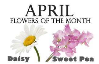 flowers of the Month for April