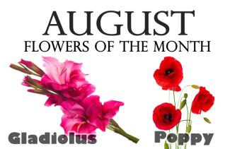 Flowers of the Month for August