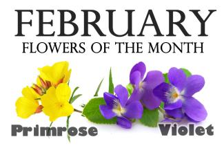 Flowers of the Month for February