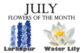 Flowers of the Month for July