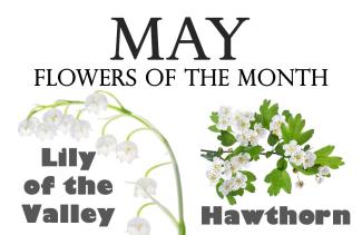 Flowers of the Month for May