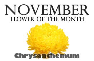 Flowers of the Month for November