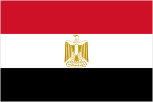 Egypt Revolution Day