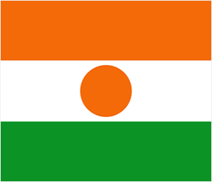 Independence Day Niger flag