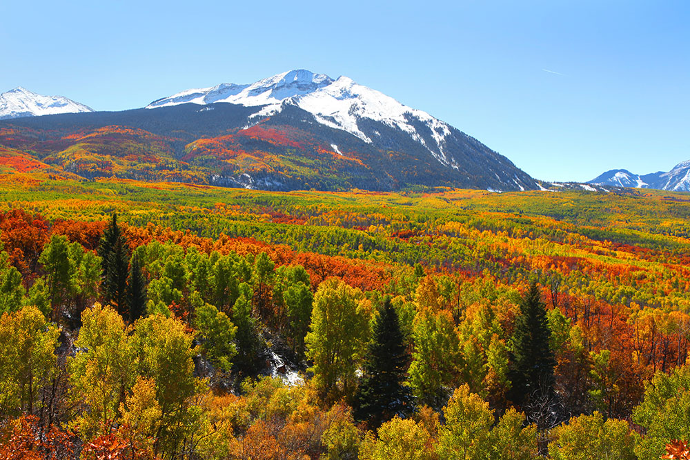Colorado Day