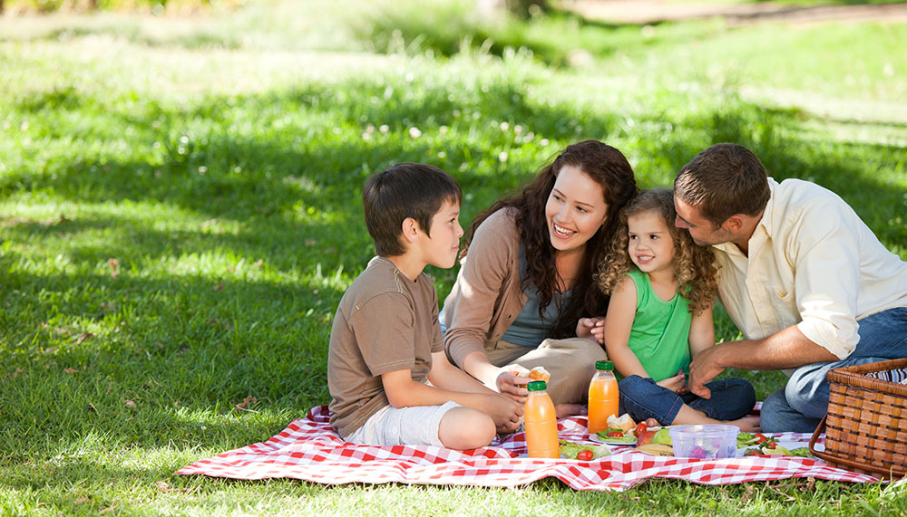 Picnic Day