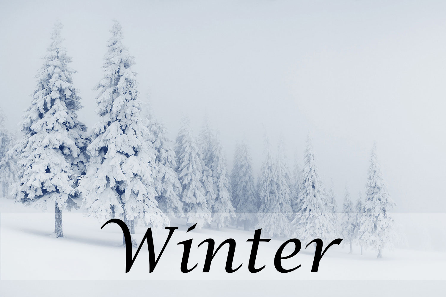 Winter - December Solstice