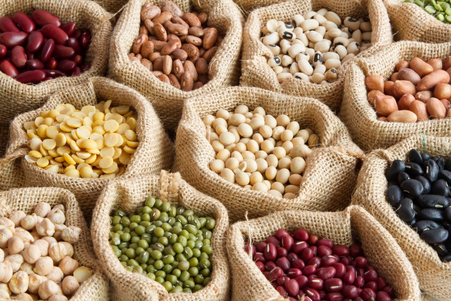 World Pulses / Legumes Day