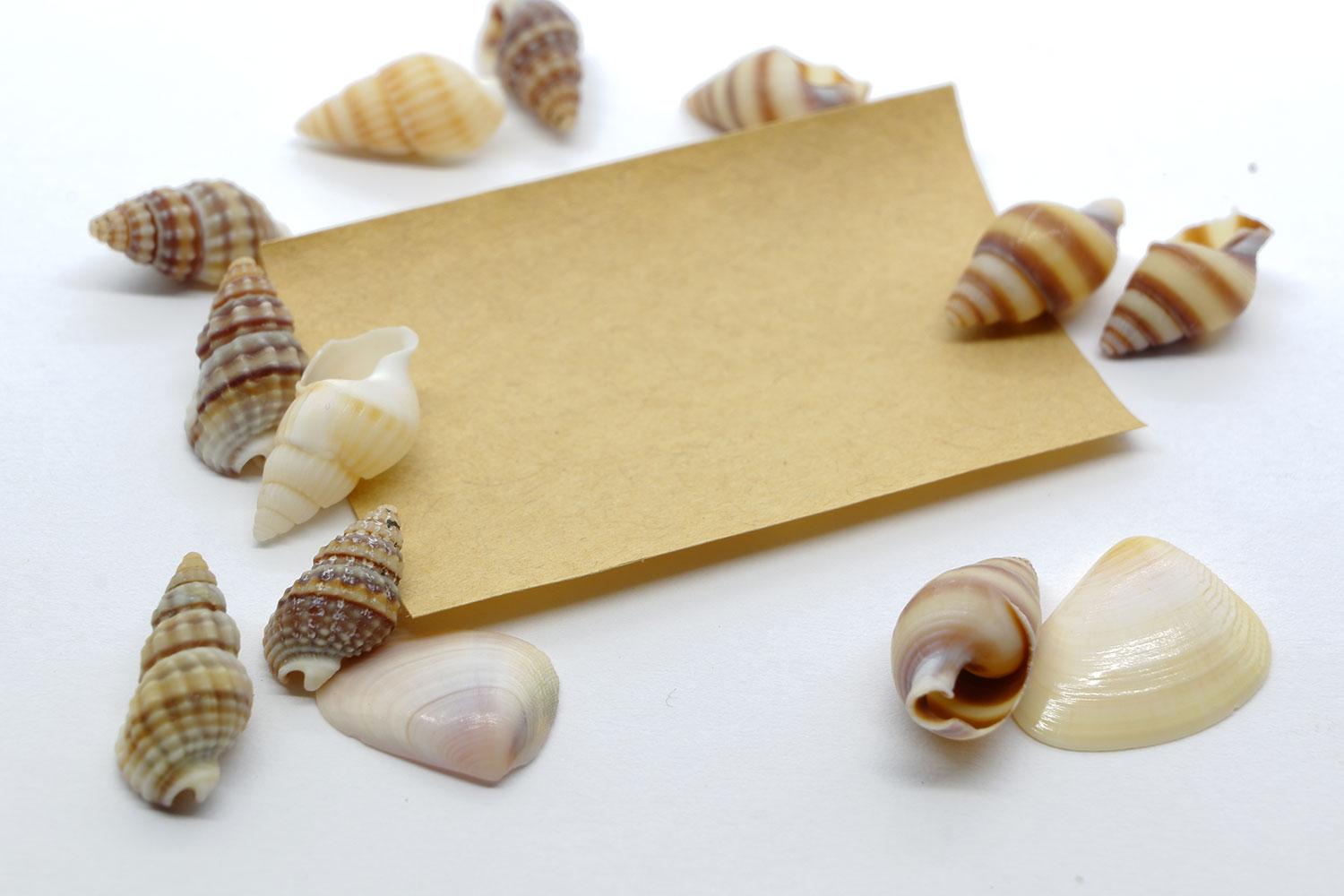 Snailpapers Day