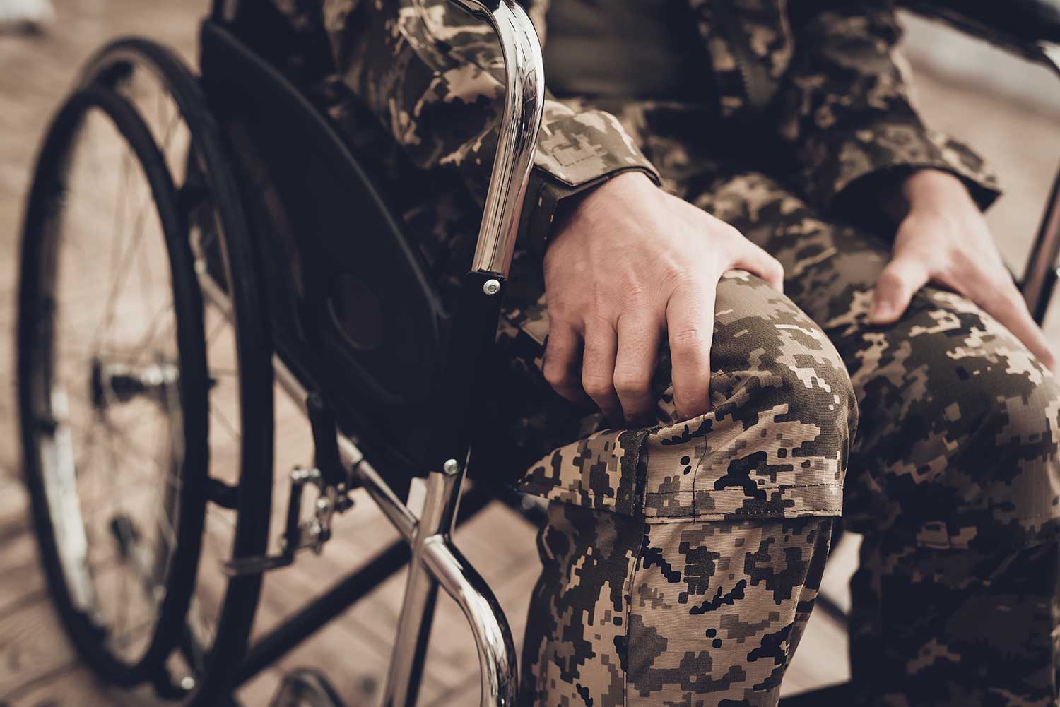 Disabled Veterans Day