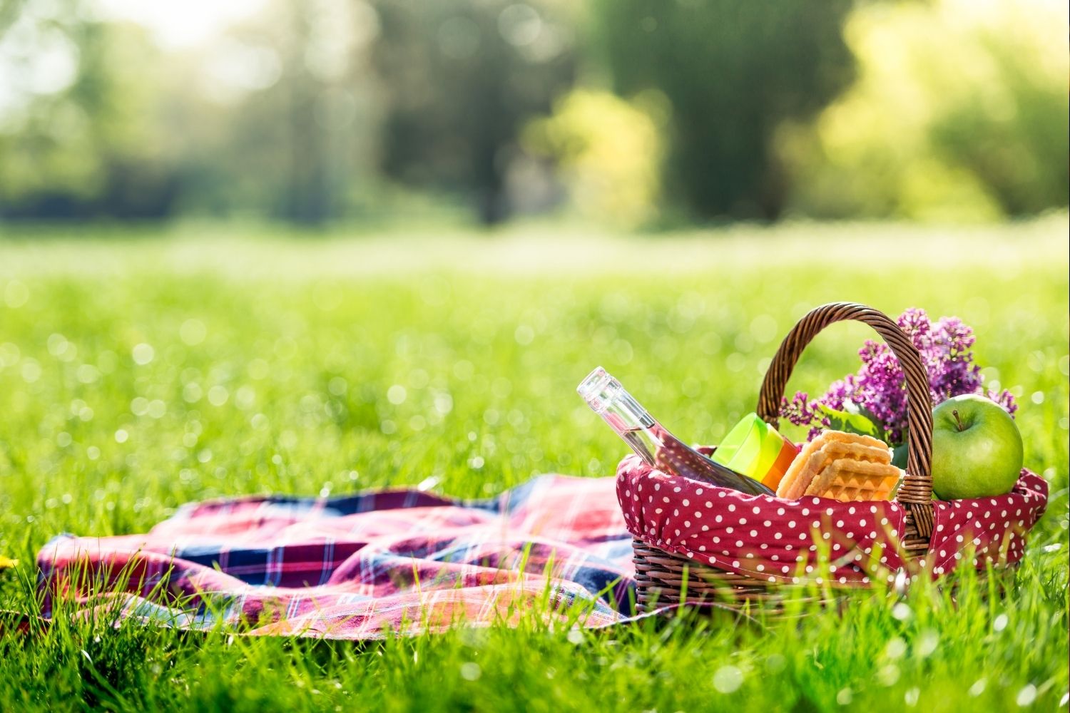 International Picnic Day Holiday Smart