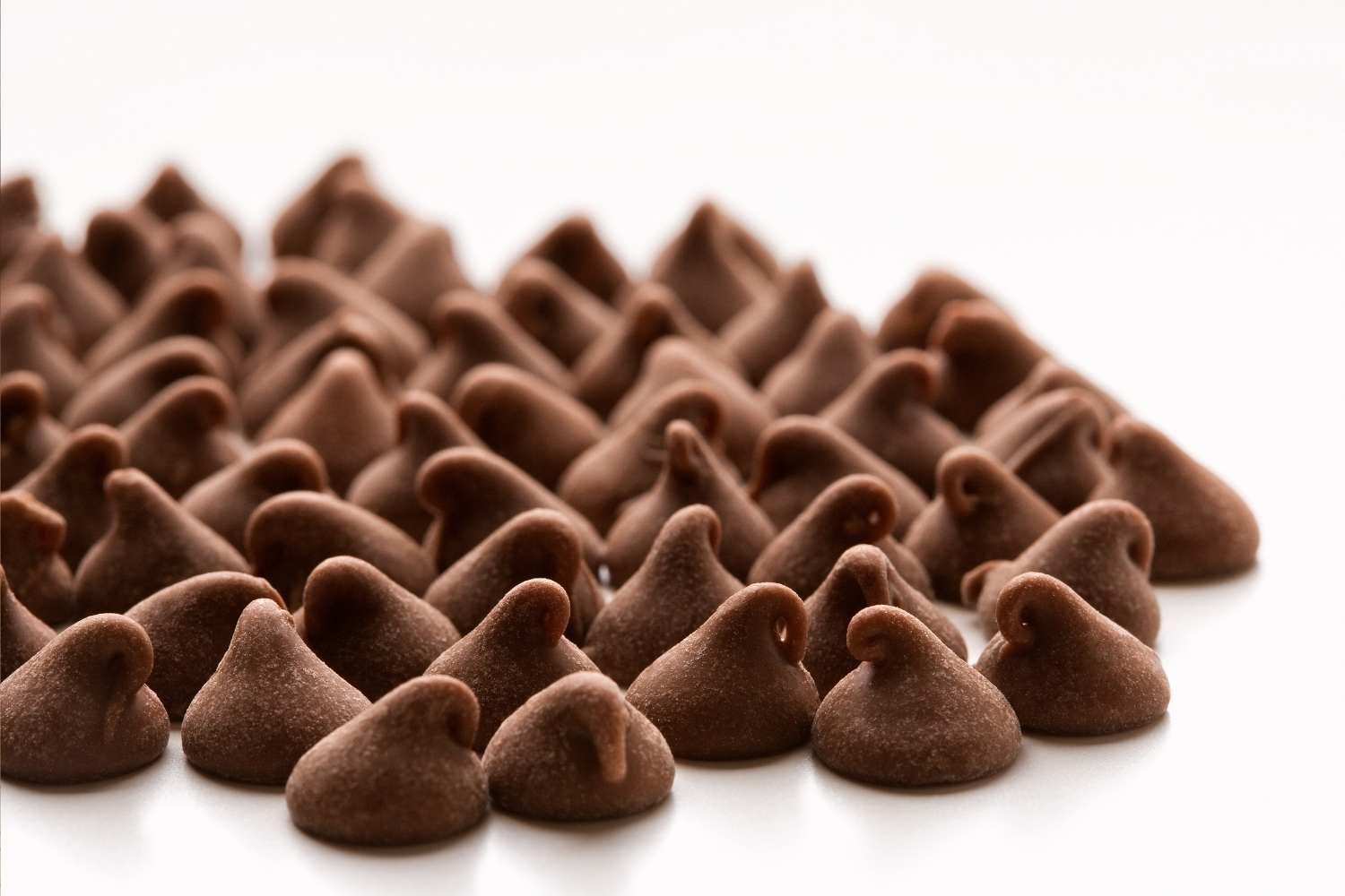 Chocolate Chip Day