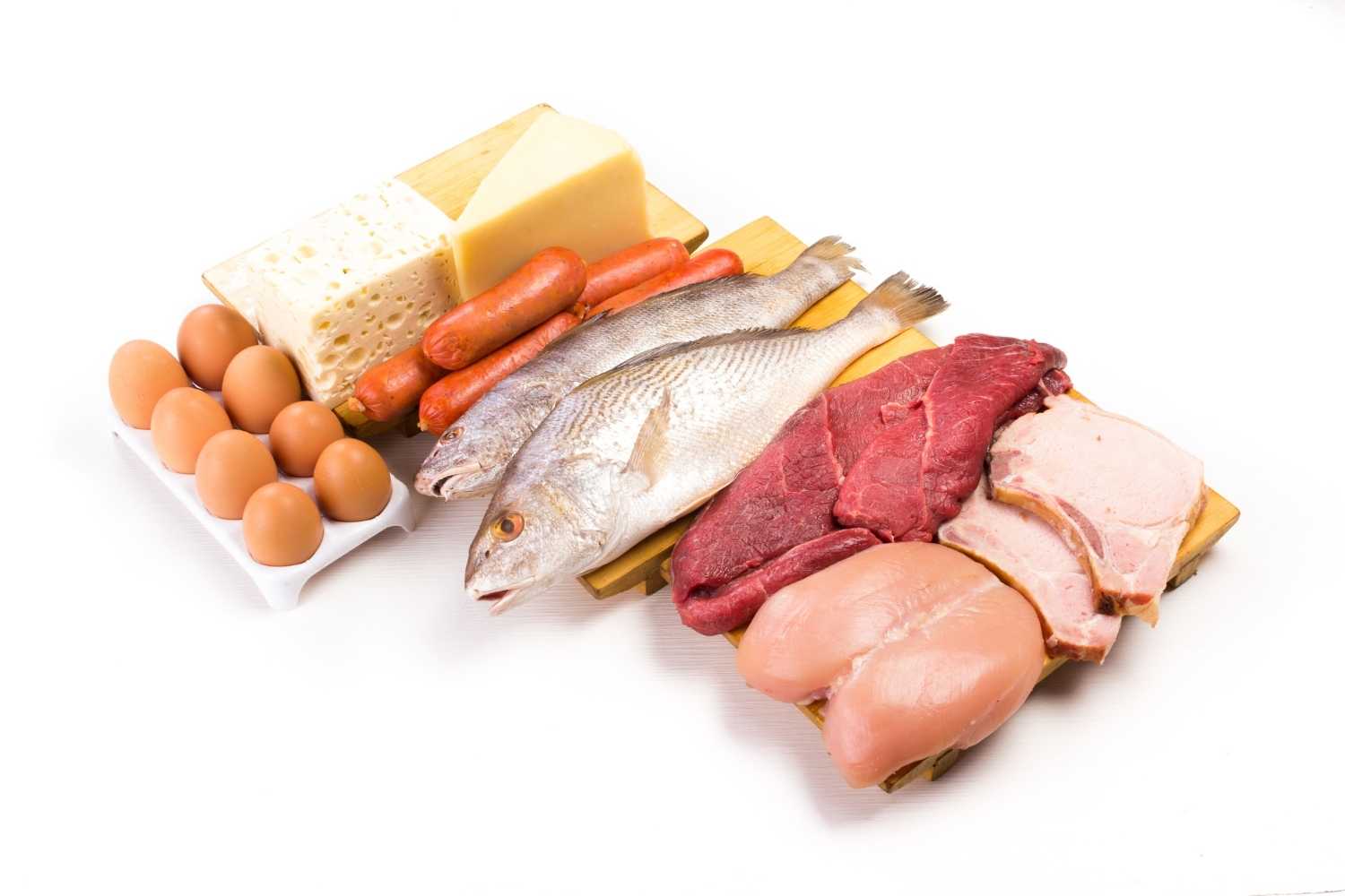 Protein Day