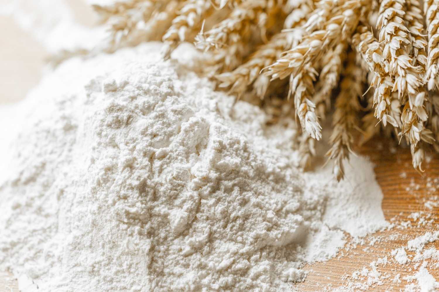 World Flour Day