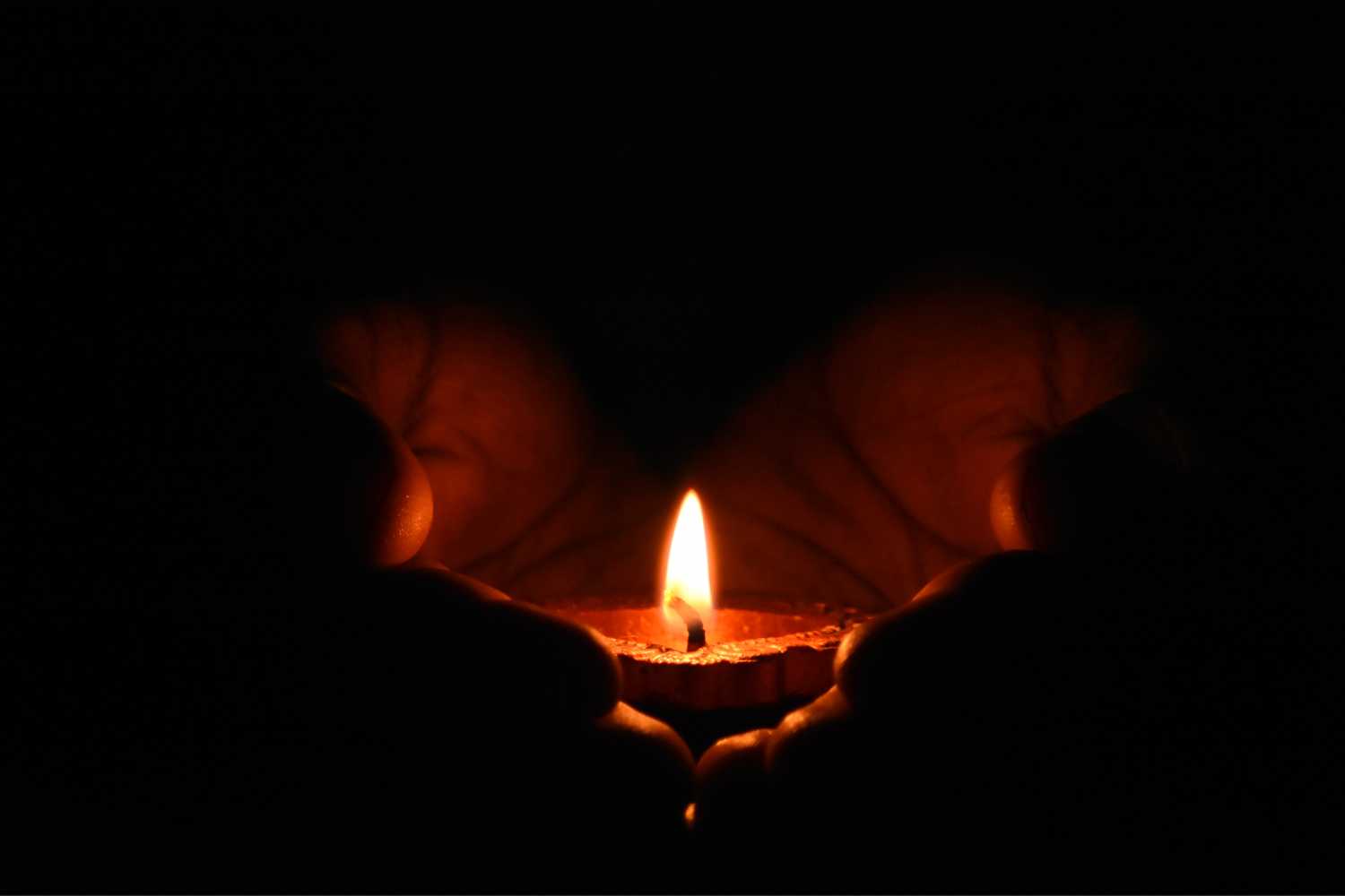 The HumanLight Holiday 