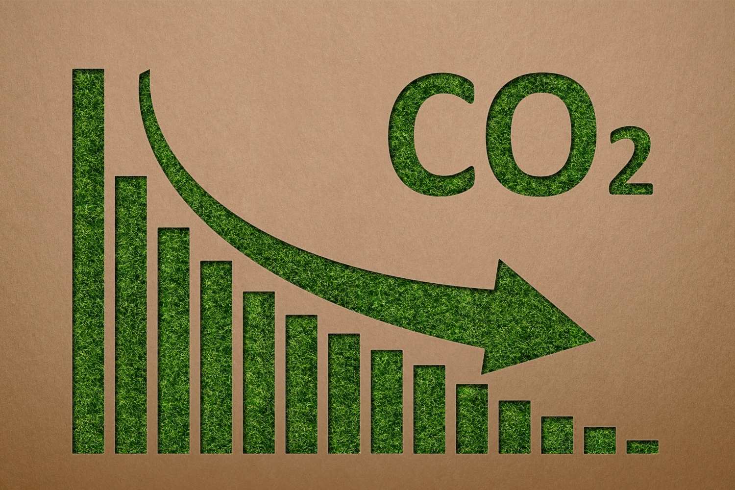 Reducing CO2 Emissions Day