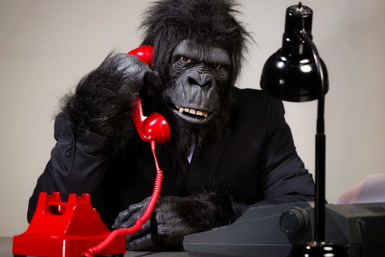 Gorilla Suit Day