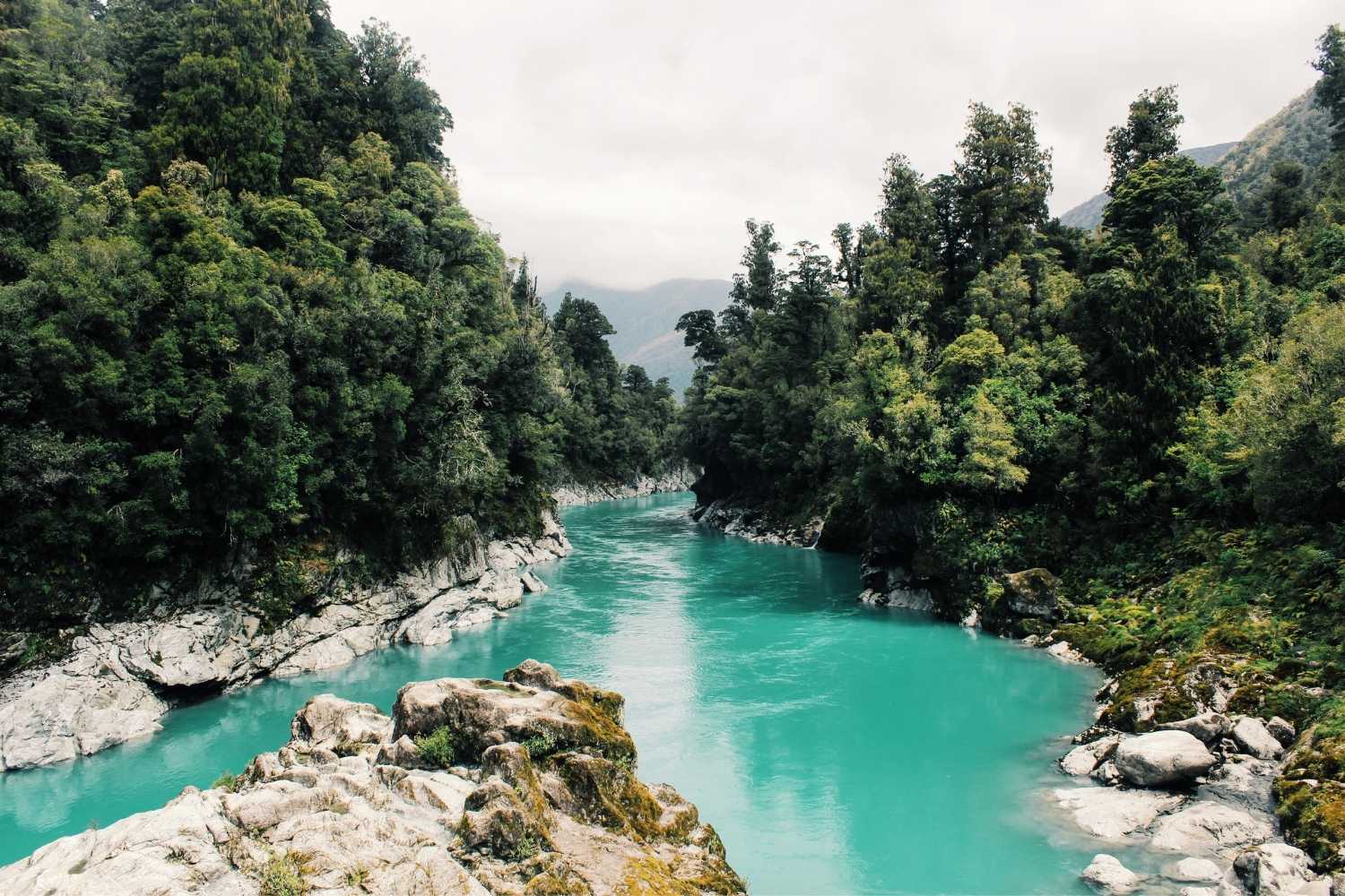 Day of Action for Rivers