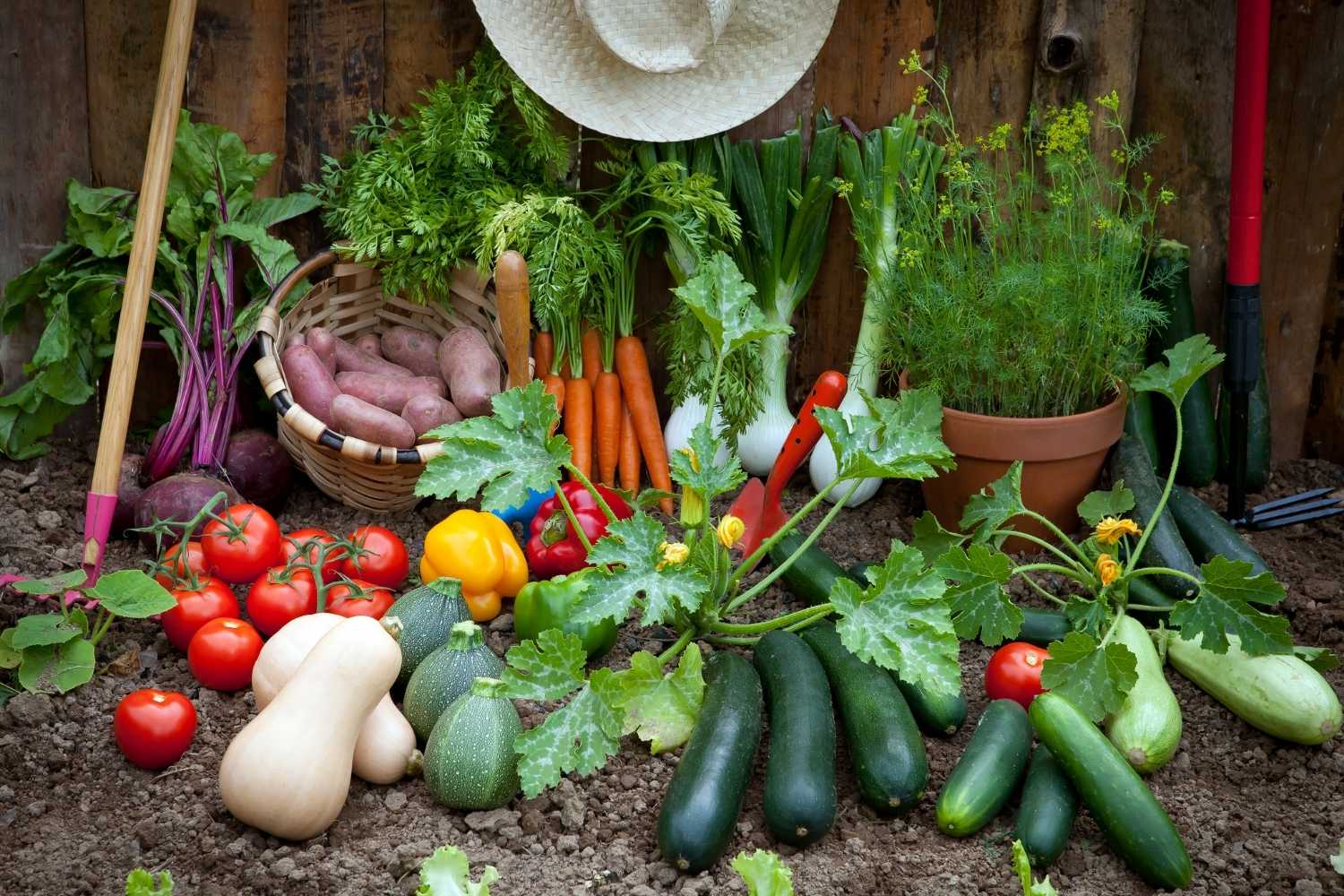 Ag Day, Celebrating Our Bountiful Food Supply