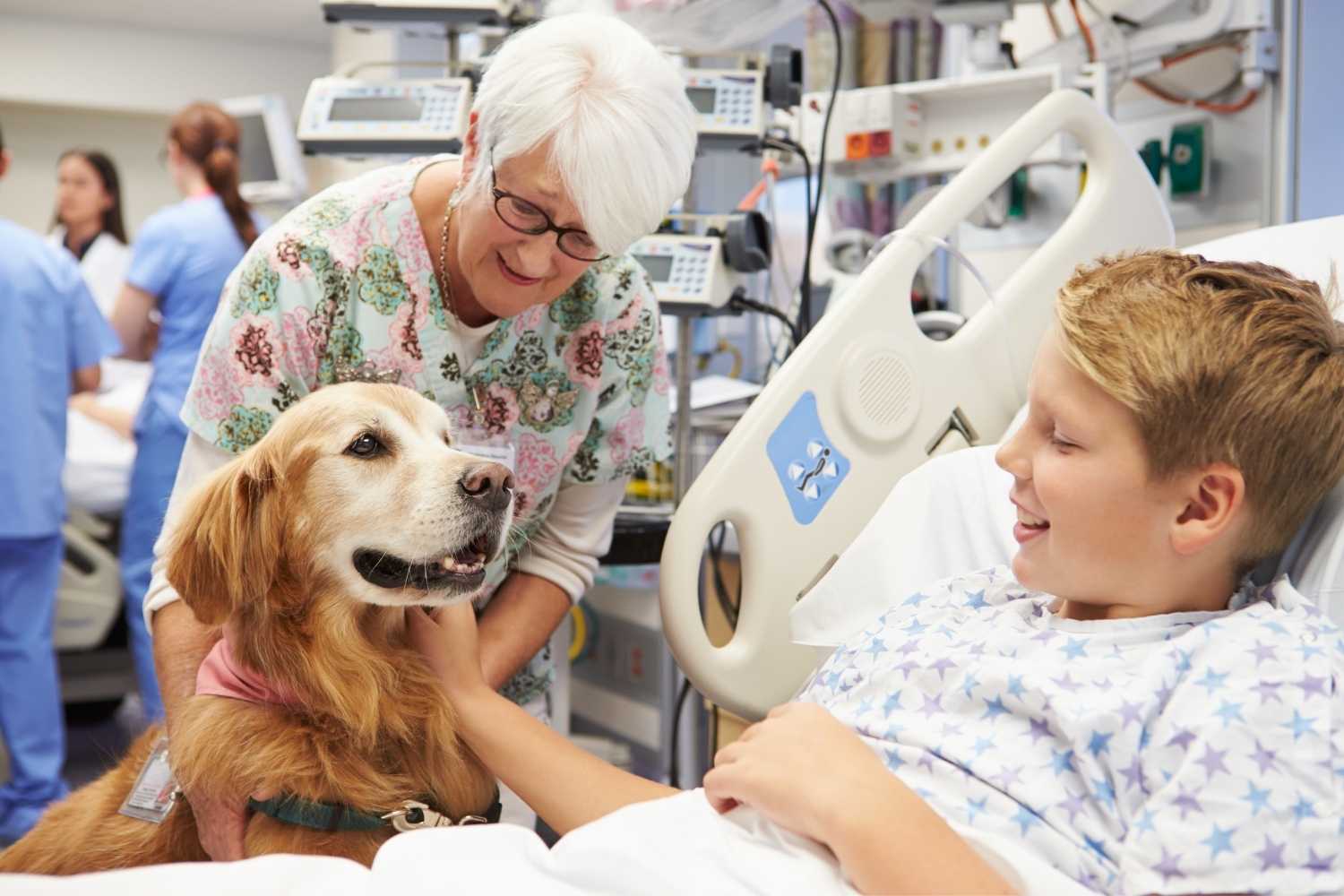 Dog Therapy Appreciation Day
