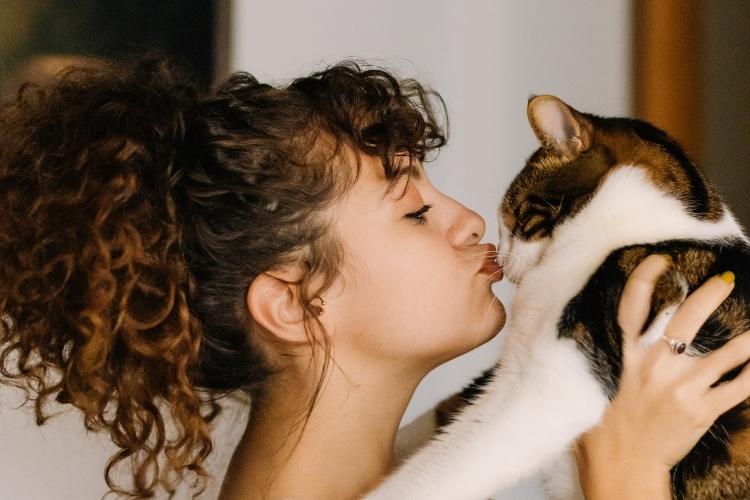 Cat Lady Day