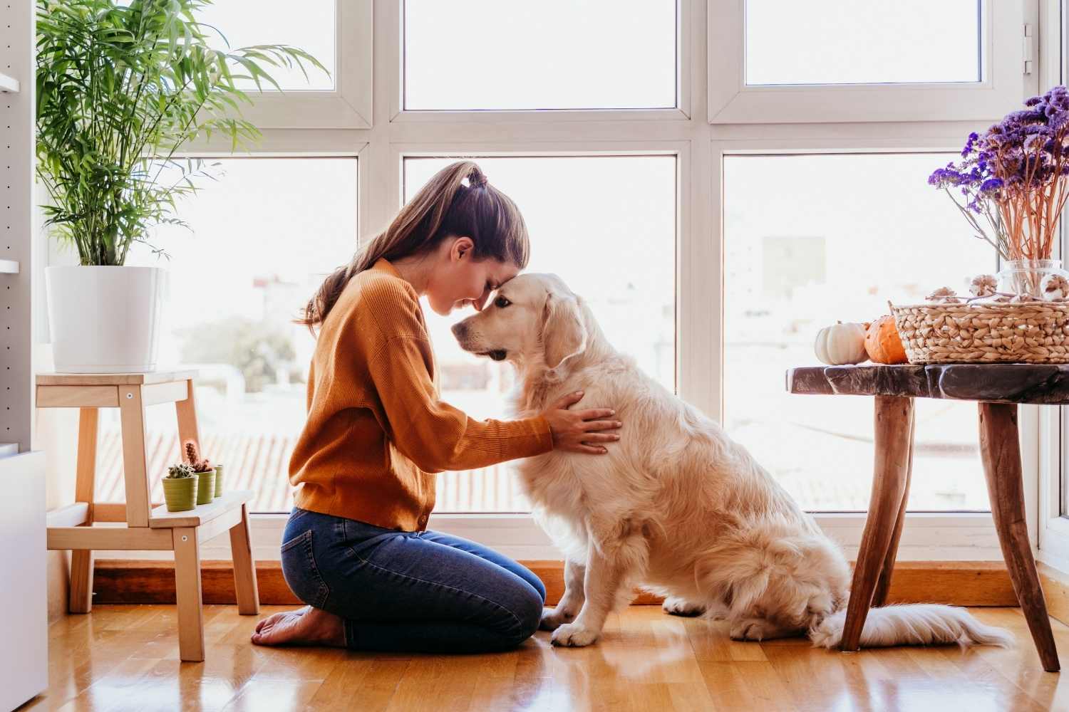Bond With Your Dog Day