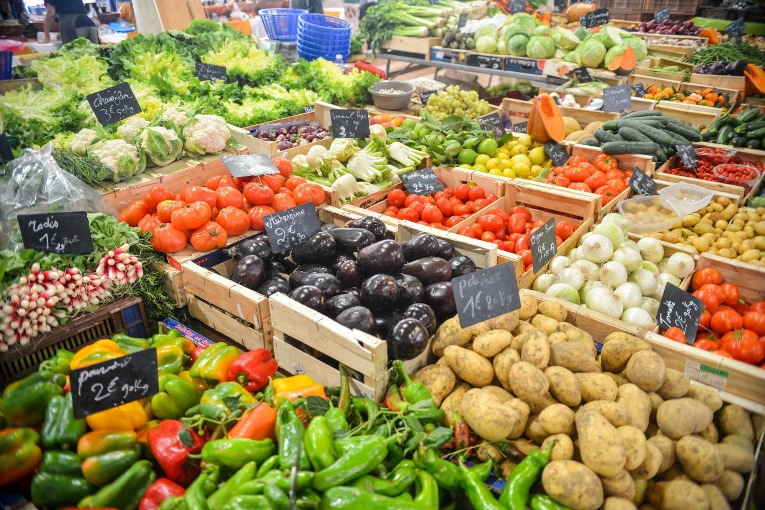 Fresh Veggies Day