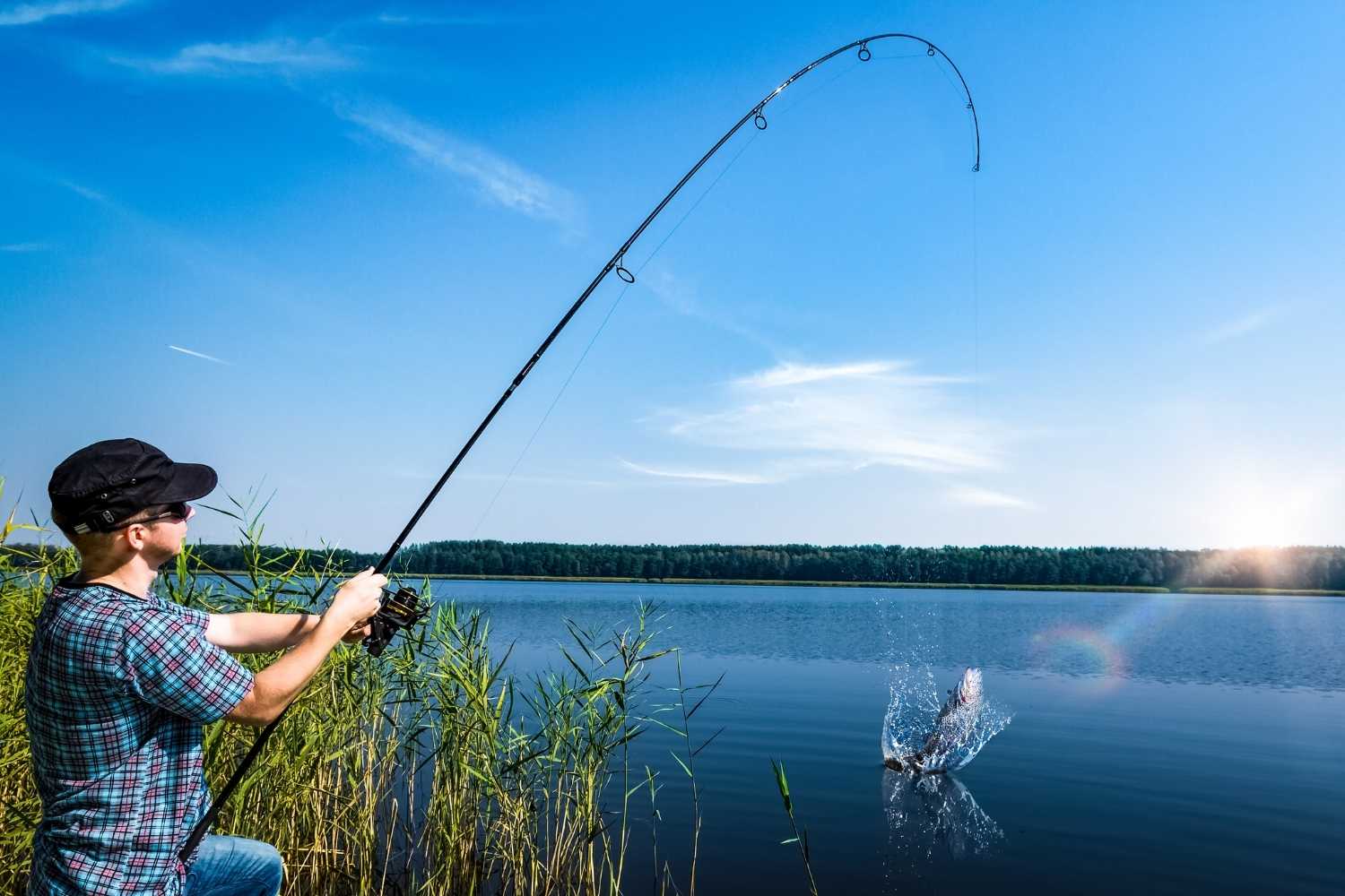 Fishing Day
