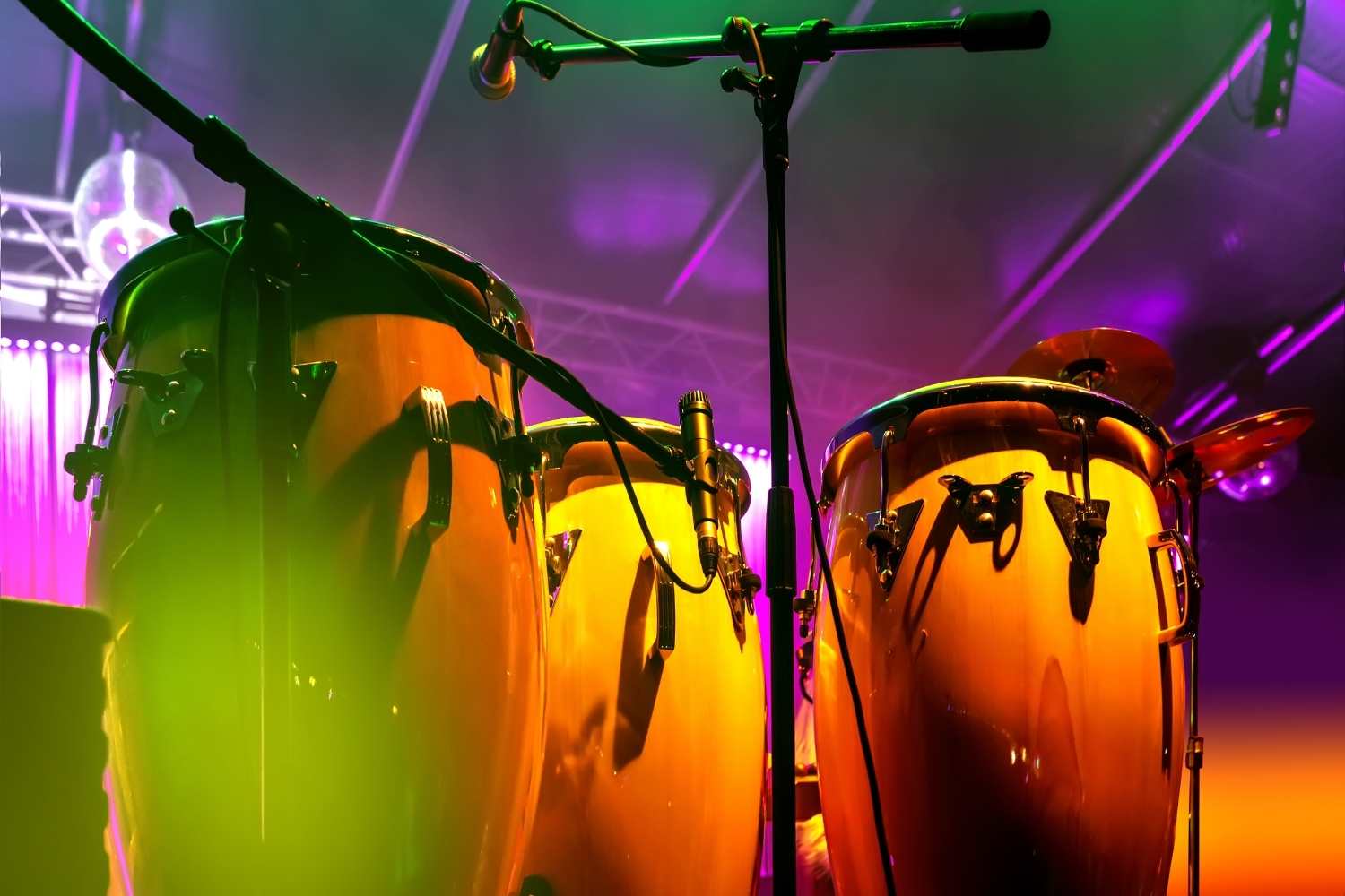 International Reggae Day