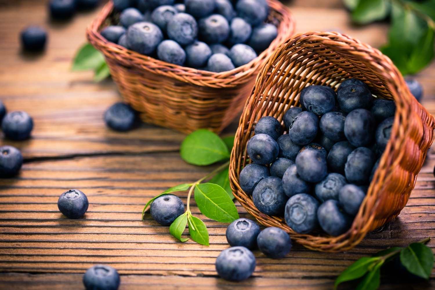 Blueberry Day