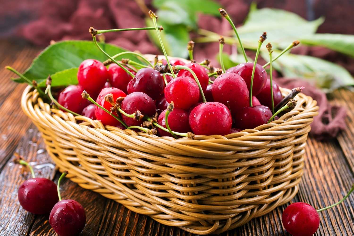 Cherry Day