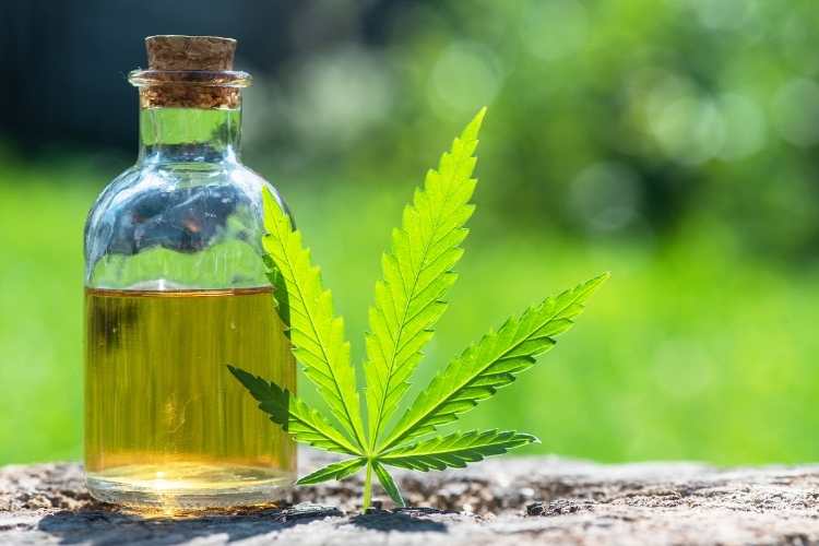 CBD Day