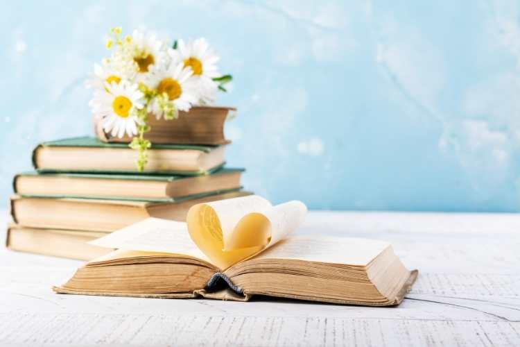 Book Lovers Day