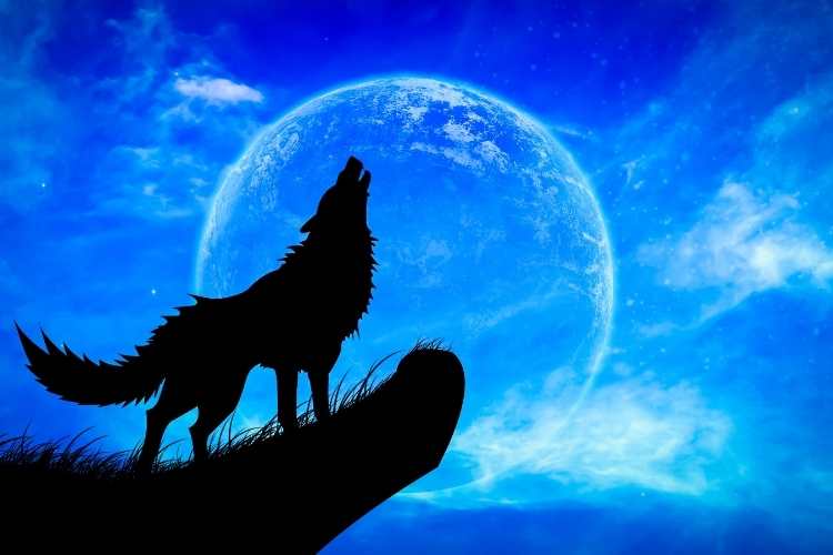 Chant at the Moon Day