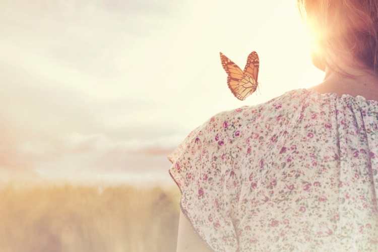 Serendipity Day