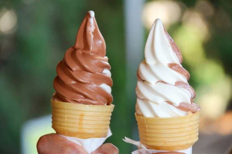 Soft Ice Cream Day