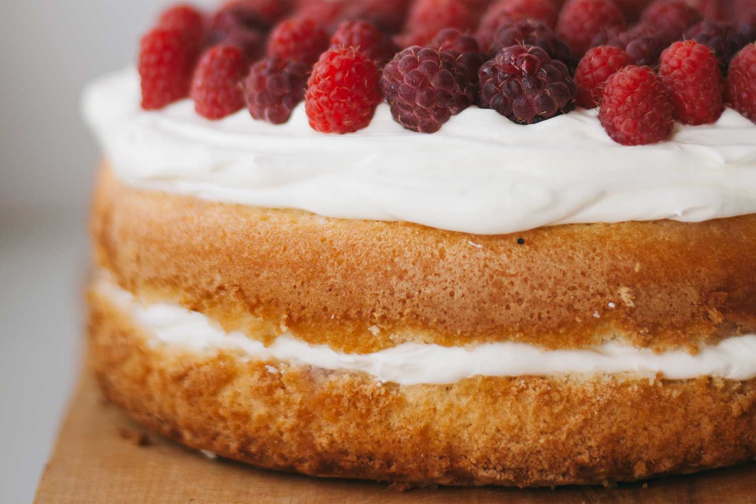 Spongecake Day
