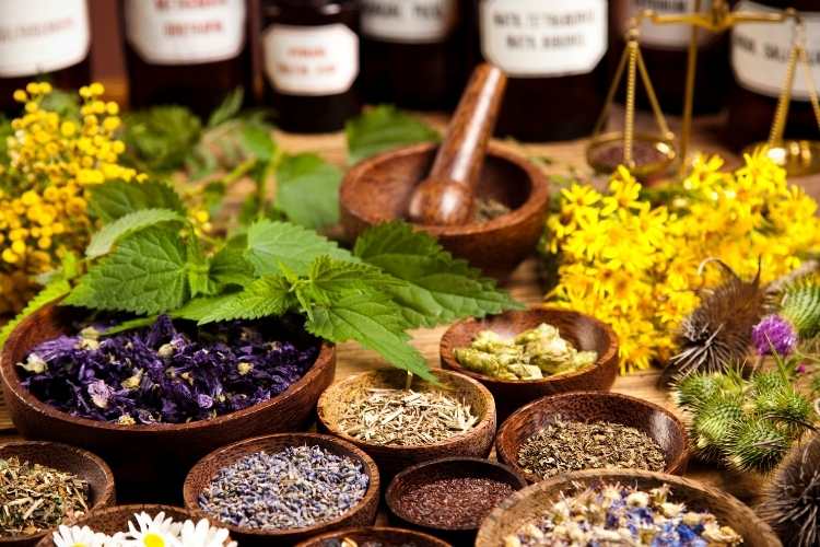 More Herbs Less Salt Day