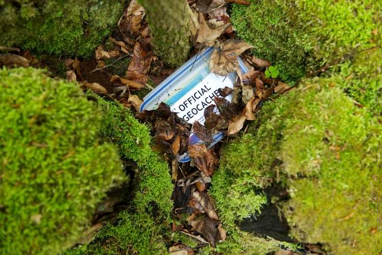 Geocaching Day