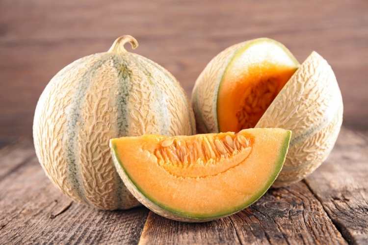 Melon Day