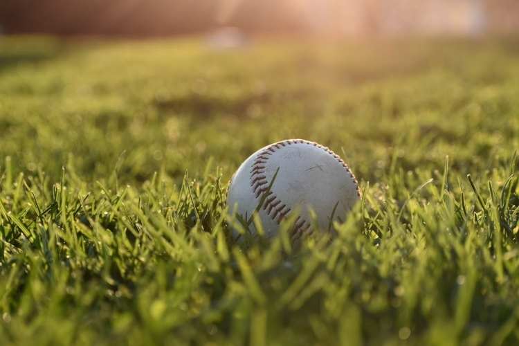 Spalding Baseball Day
