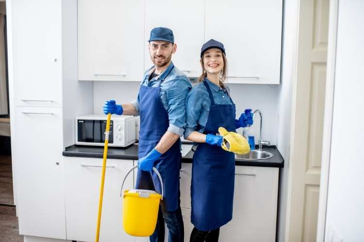 Professional House Cleaners Day
