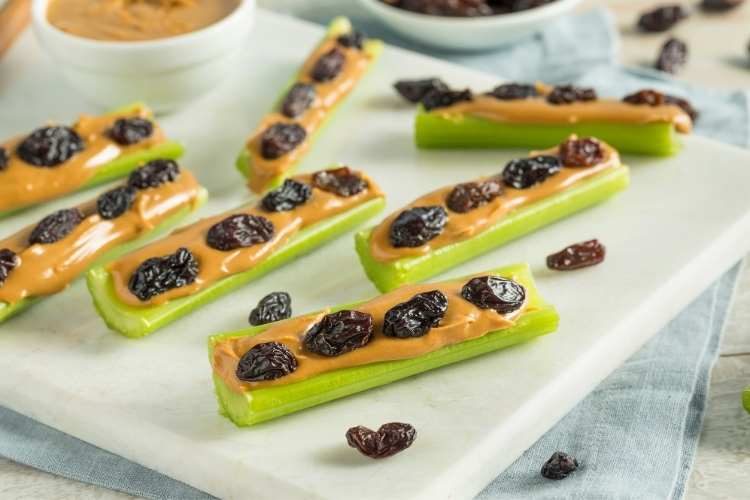 Ants on a Log Day