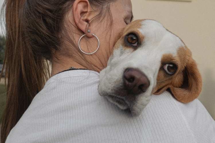 Hug Your Hound Day