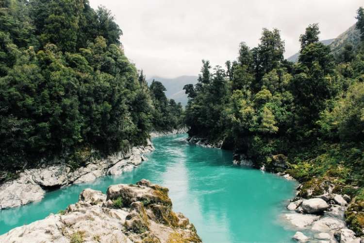 World Rivers Day