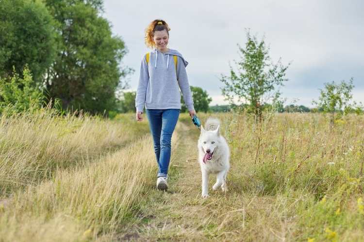 Walk Your Dog Day