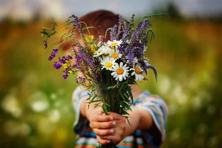 Do Something Nice Day