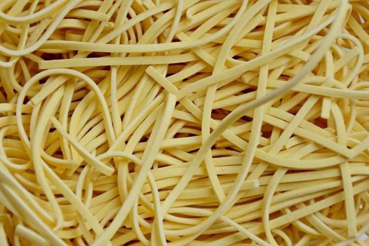 Noodle Day