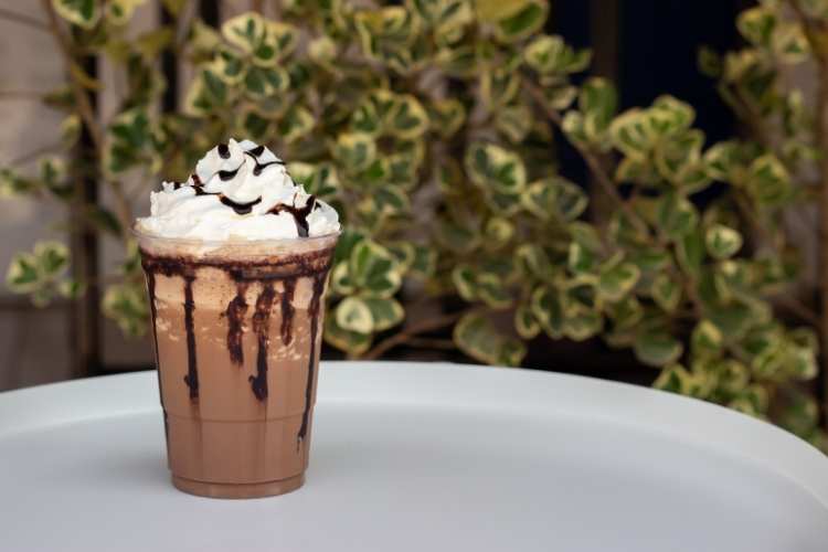 Frappe Day